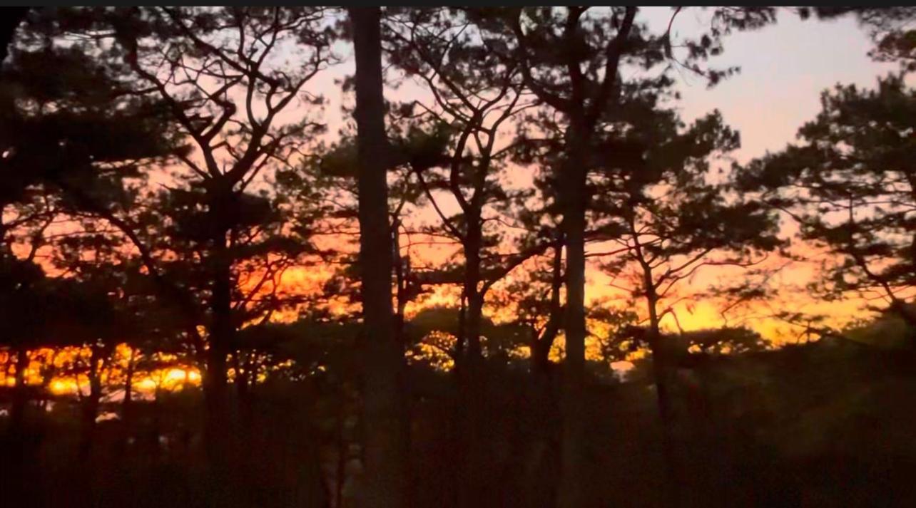 Campjohnhay Forest Estate Baguio City Luaran gambar